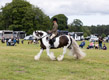 Malton Show 2024